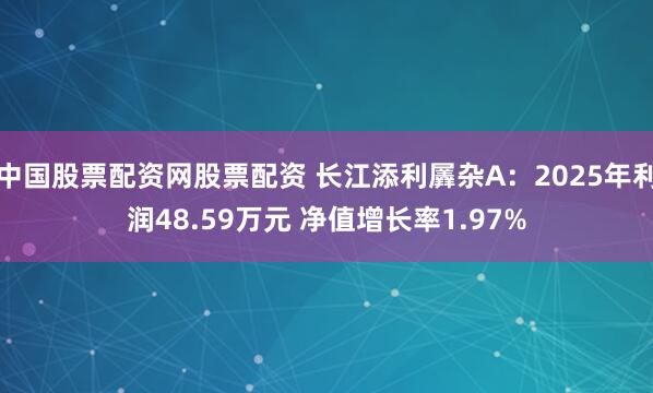 中国股票配资网股票配资 长江添利羼杂A：2025年利润48.59万元 净值增长率1.97%